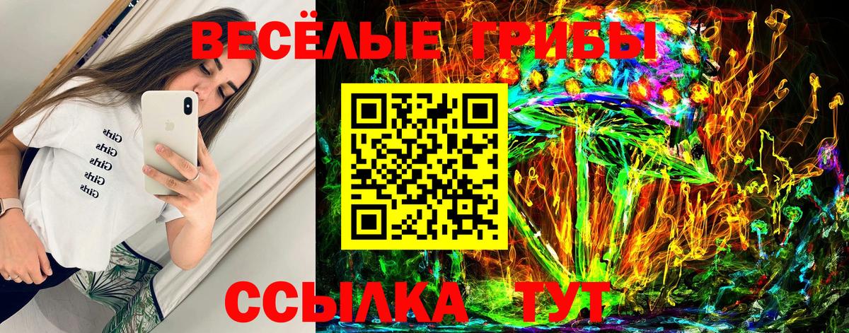 Галлюциногенные грибы GOLDEN TEACHER Заречный